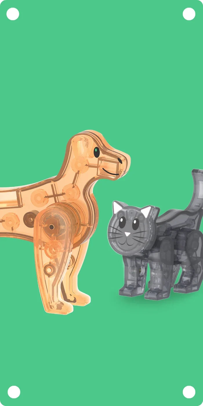 Animals
